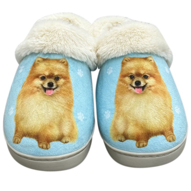 Pomeranian Snuggs Slippers